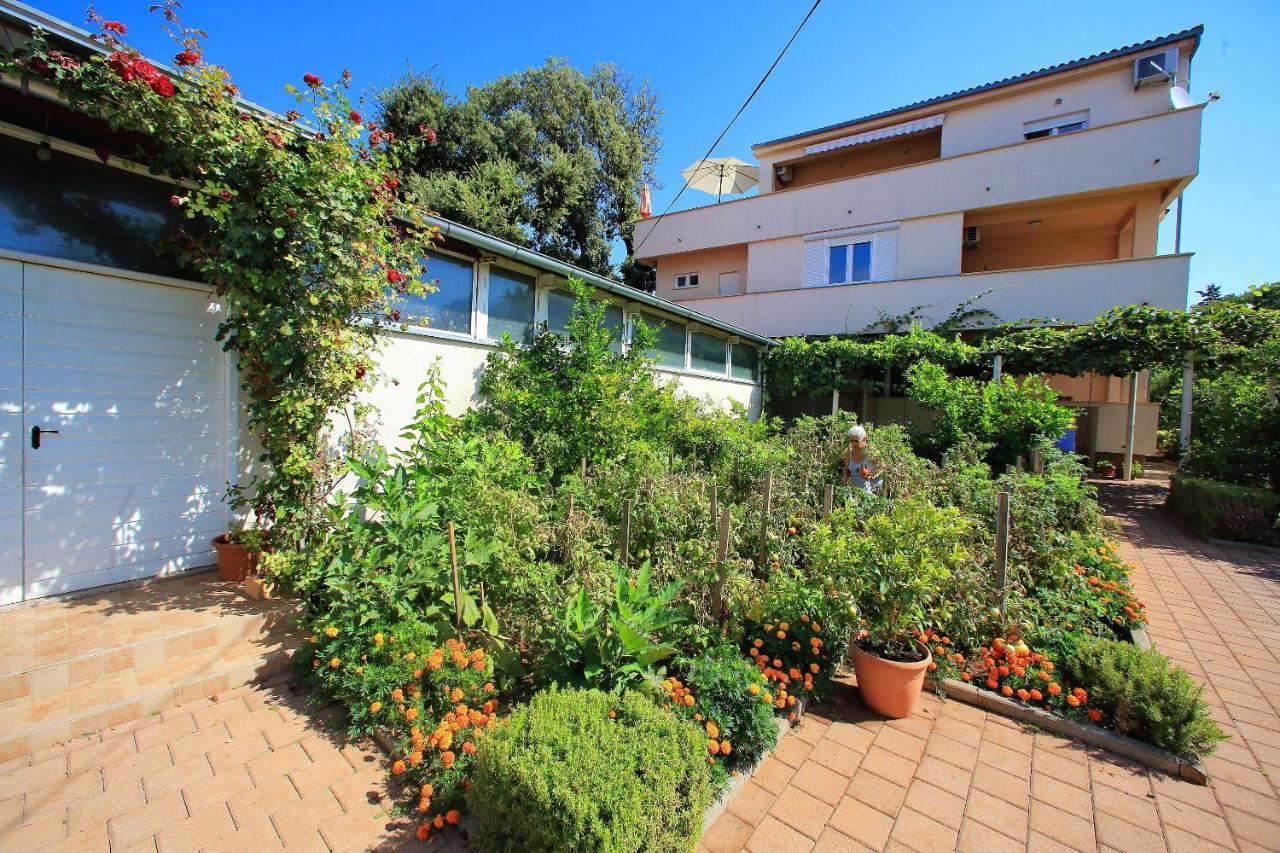 Sunny Apartments Бибине Екстериор снимка